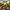 Glass Image Background