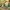 Glass Image Background