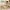 Glass Image Background