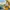 Glass Image Background