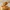 Glass Image Background