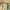 Glass Image Background