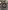 Glass Image Background