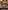 Glass Image Background