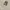 Glass Image Background