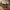 Glass Image Background