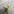 Glass Image Background
