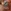 Glass Image Background