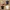 Glass Image Background