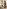 Glass Image Background