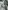 Glass Image Background