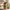 Glass Image Background