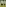 Glass Image Background