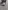Glass Image Background