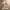 Glass Image Background