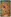 Glass Image Background