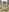 Glass Image Background