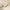 Glass Image Background