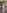 Glass Image Background