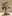 Glass Image Background