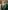 Glass Image Background