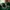 Glass Image Background