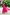 Glass Image Background
