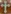 Glass Image Background
