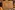 Glass Image Background