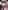 Glass Image Background