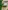 Glass Image Background