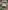Glass Image Background