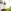 Glass Image Background