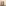 Glass Image Background