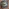 Glass Image Background