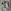 Glass Image Background