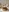 Glass Image Background