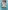 Glass Image Background