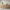 Glass Image Background