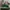 Glass Image Background