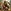 Glass Image Background