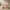 Glass Image Background