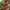 Glass Image Background