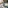 Glass Image Background