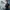 Glass Image Background