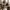 Glass Image Background