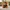 Glass Image Background