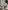 Glass Image Background