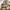 Glass Image Background