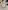 Glass Image Background